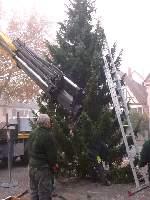 2011weihnachtsbaum080