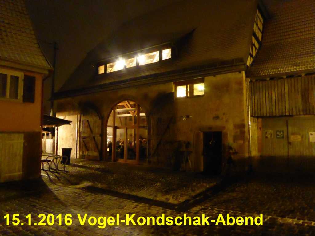 vogel_kondschak010.jpg