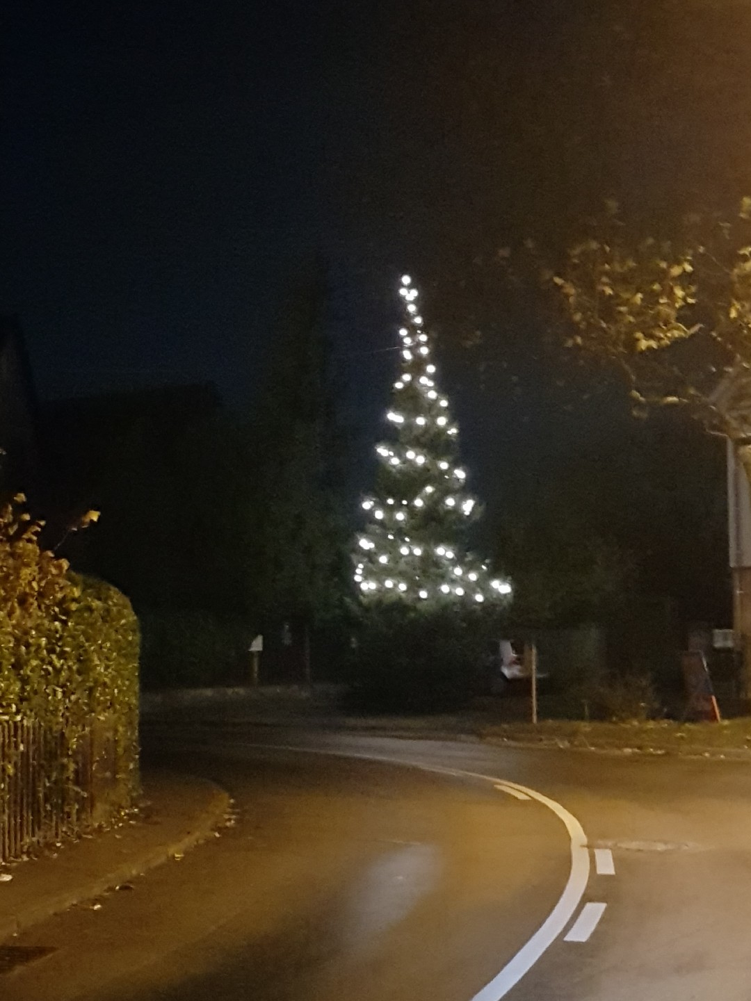 Adventsnachmittag