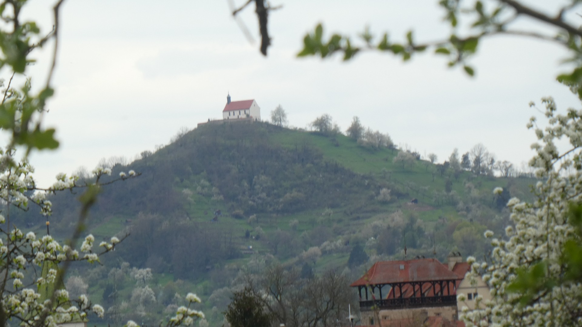 2023_04_22waldkindergarten030