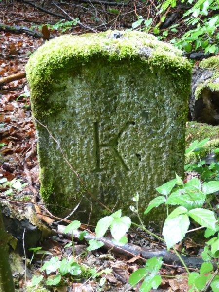 markierungswanderung_kilchberg_baselland_2018110.jpg