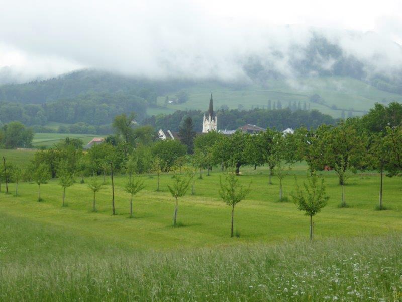 markierungswanderung_kilchberg_baselland_2018130.jpg