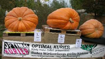 Jahresausfluf2007_0160