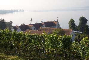 Bodensee08