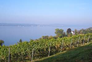 Bodensee10