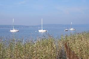 Bodensee29