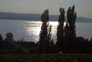 Bodensee75