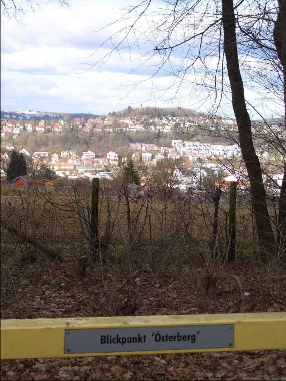 bergfriedhof170.jpg